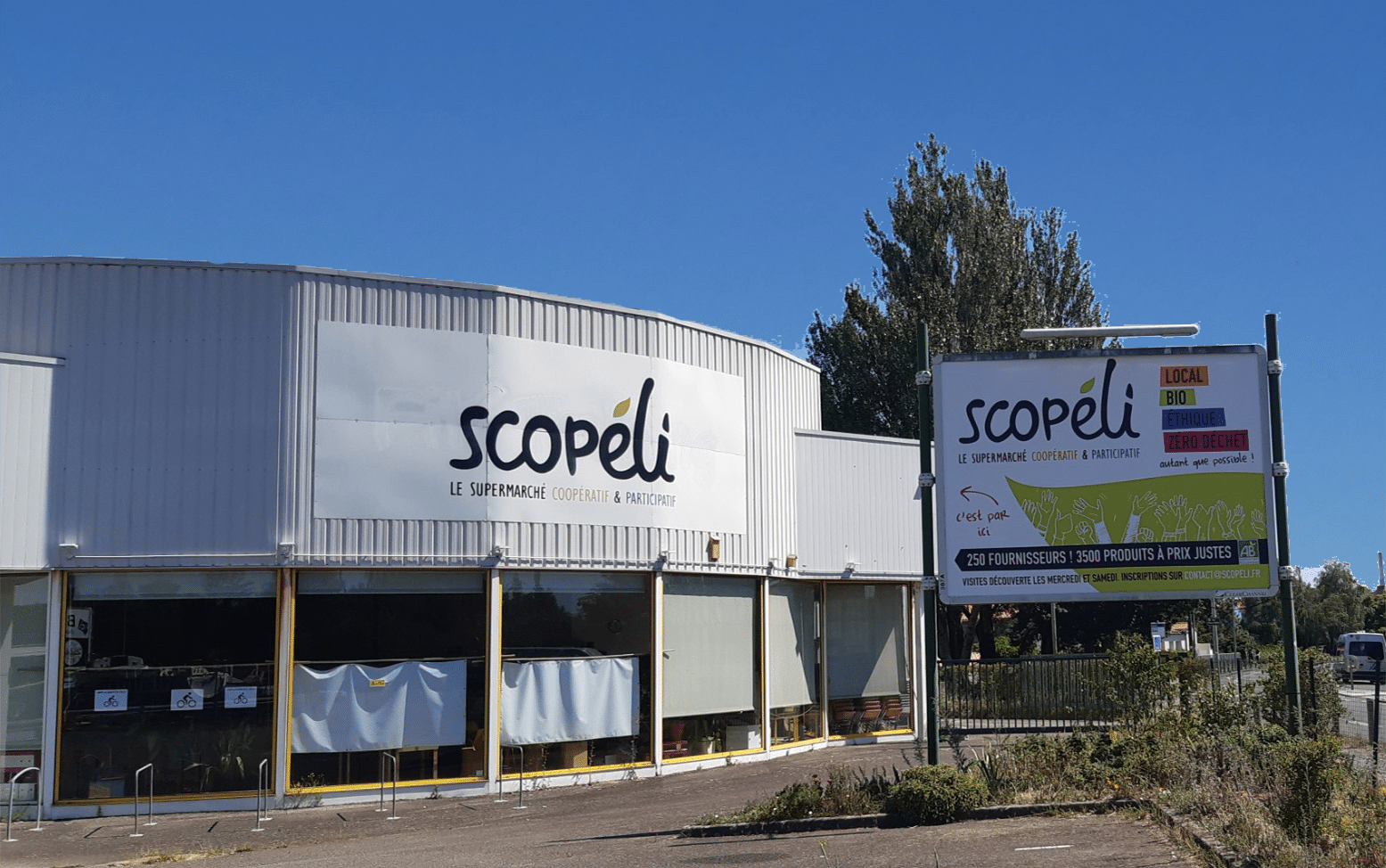Scopeli
